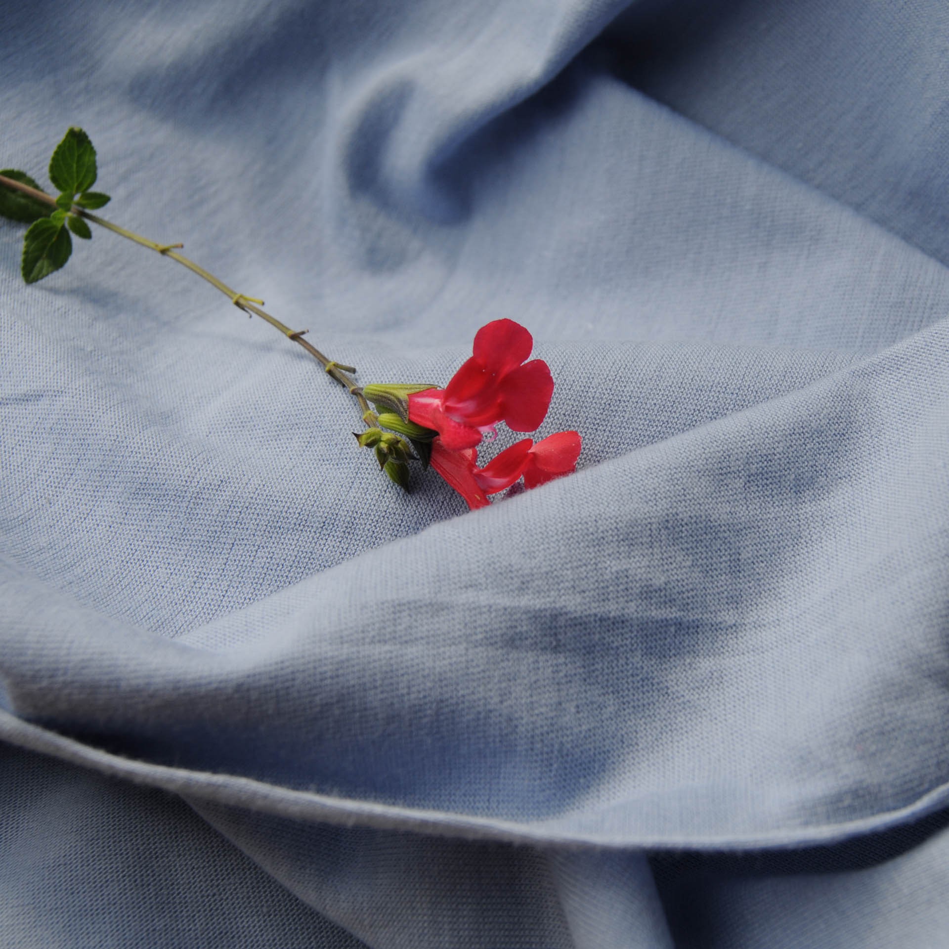 jersey de coton bleu lavande